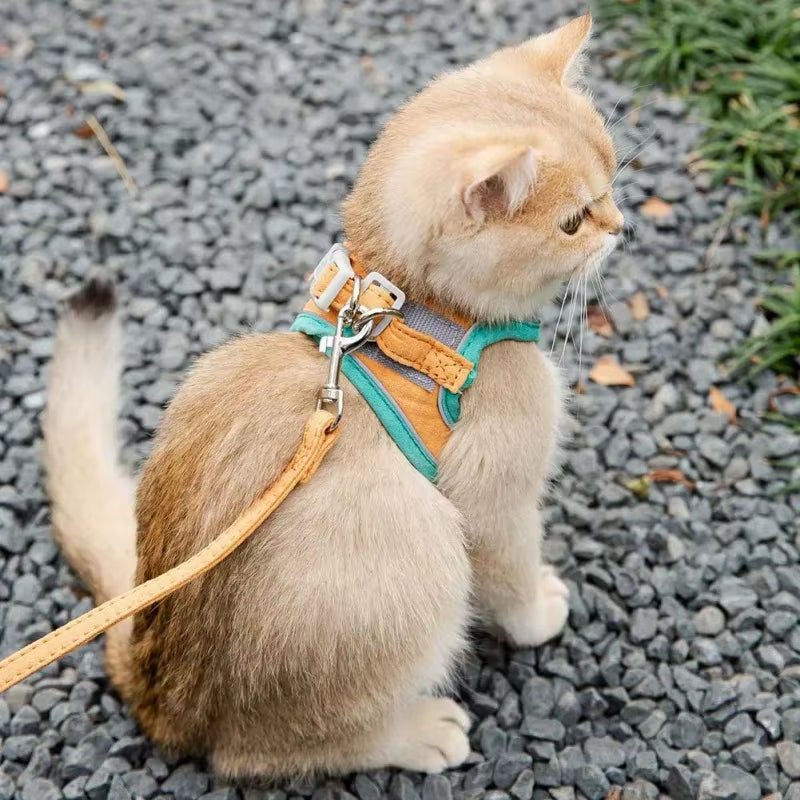 Cat Harness Leash Set for Chihuahua Accessories Dog Cat Vest Pug Leashes Walking Tools Walk Out Leads Products