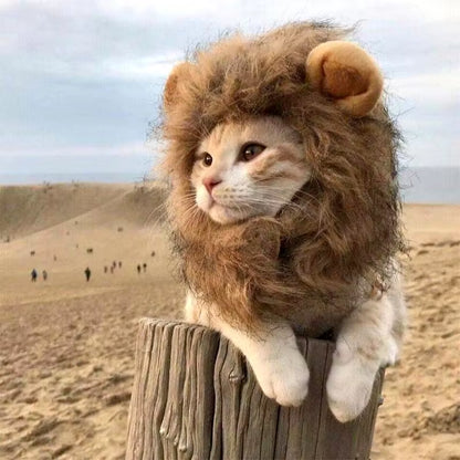 Cute Lion Mane Cat Wig Pet Small Dog Cats Costume Lion Mane Wig Cap Hat for Cat Dogs Fancy Costume Cosplay Toy Pet Supplies